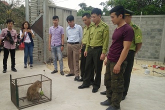 Wild animal is handed over voluntarily to Center for Rescue, Conservation and Creatures development by a local resident